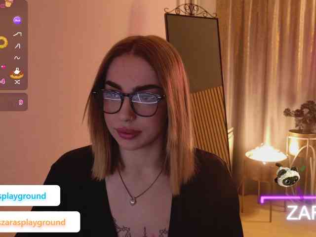 ZarasPlayground webcam