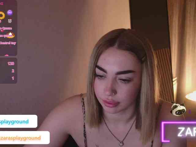 ZarasPlayground webcam