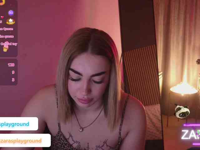 ZarasPlayground webcam