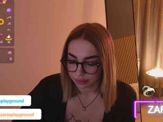 ZarasPlayground webcam