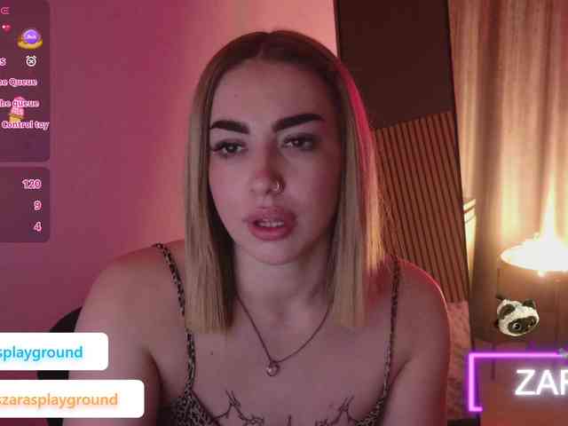 ZarasPlayground webcam