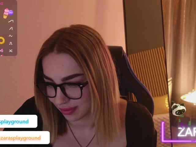 ZarasPlayground webcam