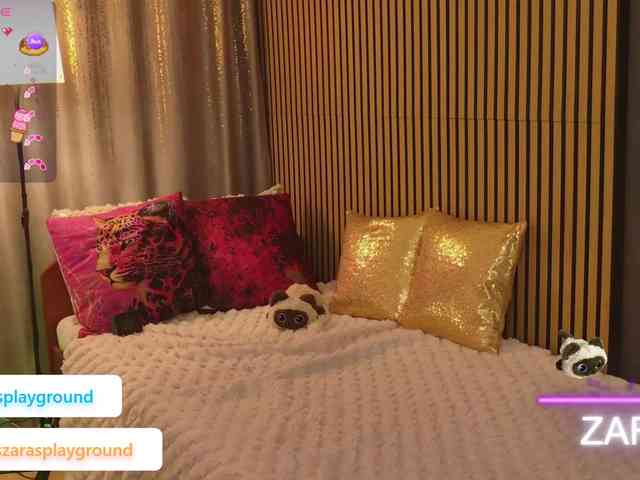 ZarasPlayground webcam