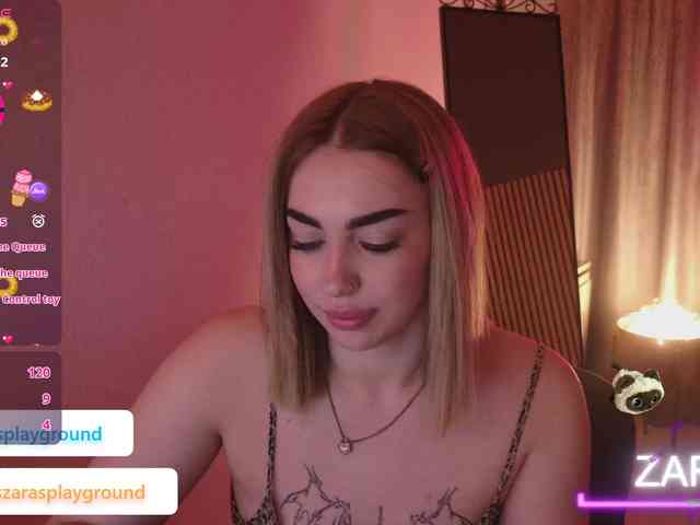 ZarasPlayground webcam