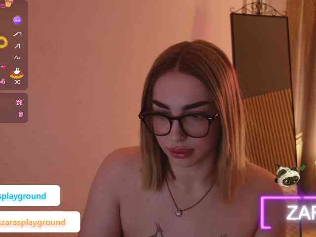 ZarasPlayground webcam