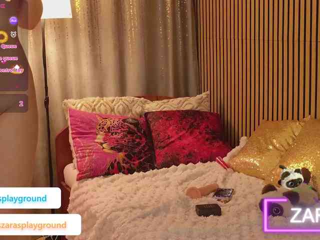 ZarasPlayground webcam