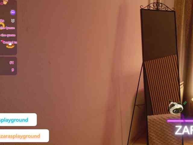 ZarasPlayground webcam