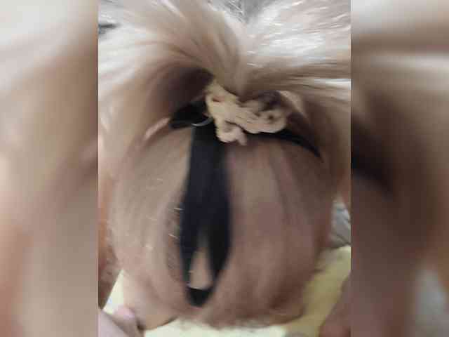 MmvHon