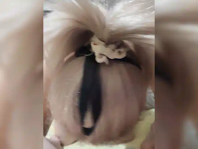 MmvHon