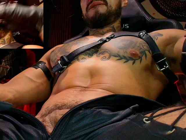 SrBillyMyers Sex Cam Show