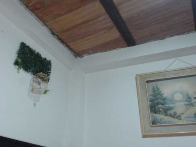 Preview of bunnynasty888