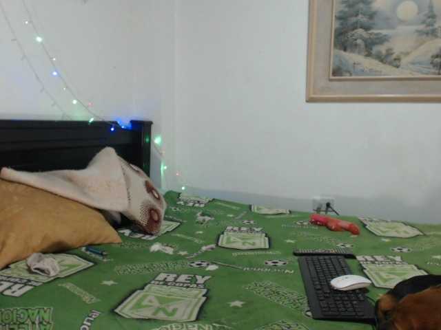 Preview of bunnynasty888