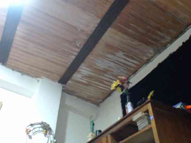 Bunnynasty888 webcam