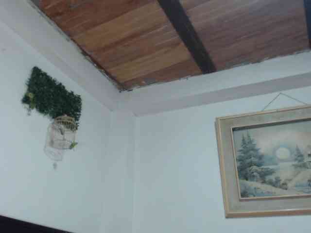 Bunnynasty888 webcam