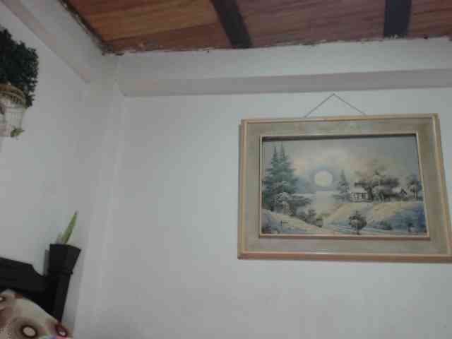 Bunnynasty888 webcam