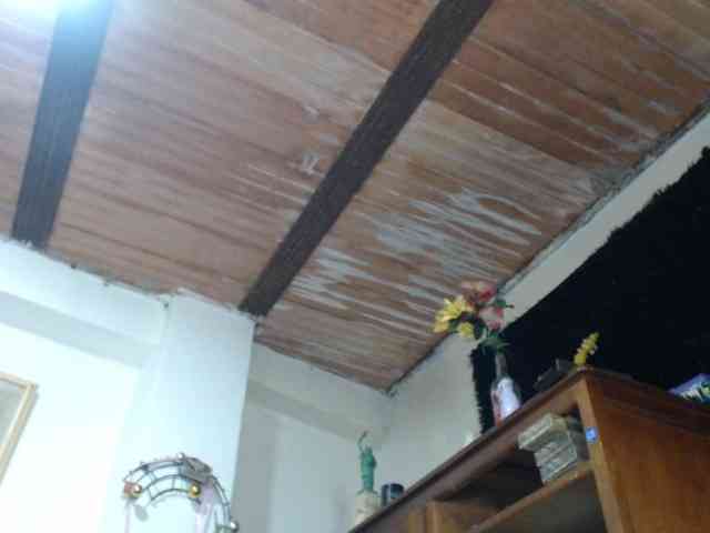 Bunnynasty888 webcam