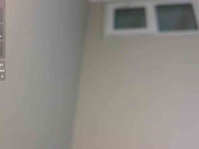 lihnpham webcam