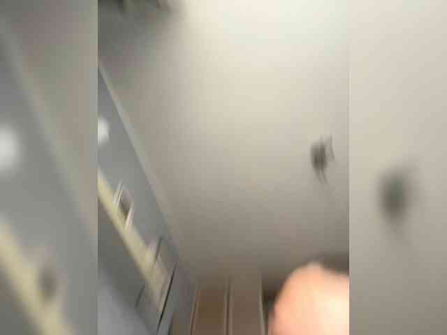 Sexypara1404