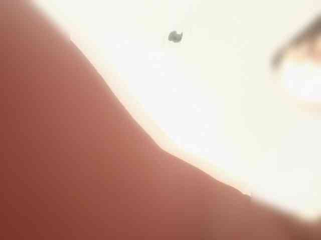 Sexypara1404 webcam