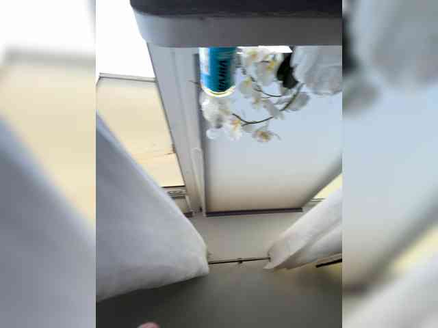 Sexypara1404 webcam