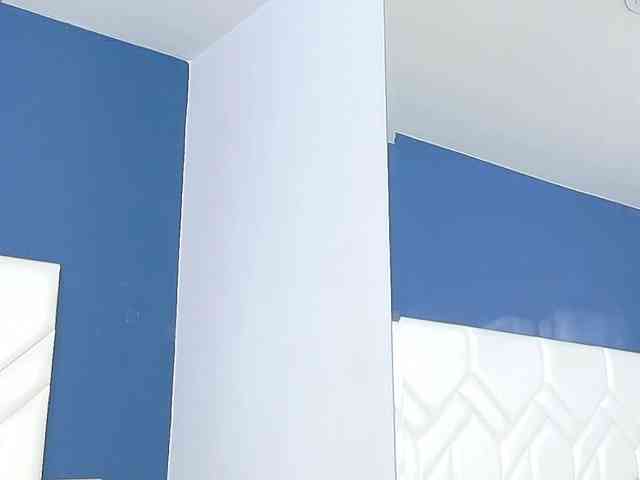 RubyRogers webcam