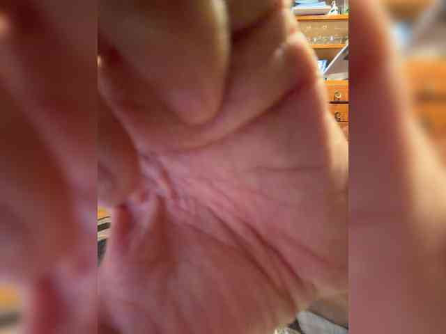 Peluchealo webcam