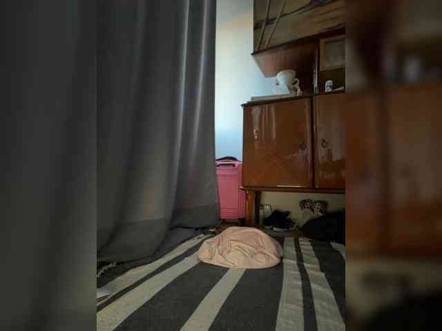 Peluchealo