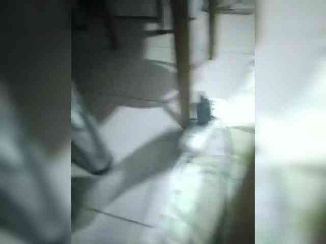 SemagaKisyusha webcam