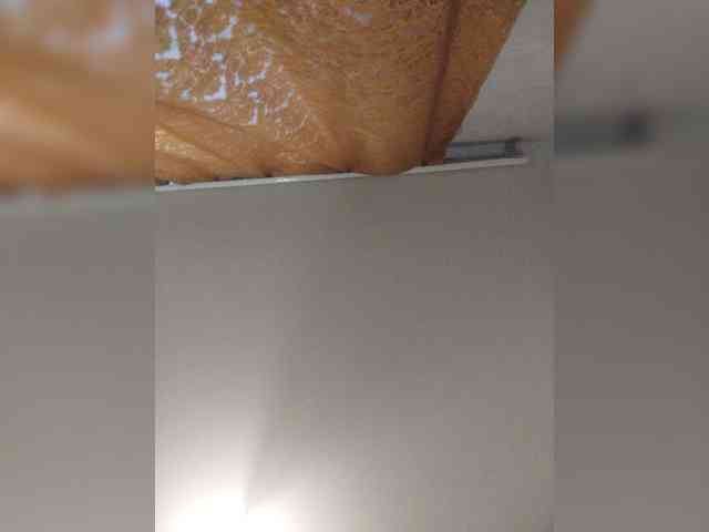 SemagaKisyusha webcam