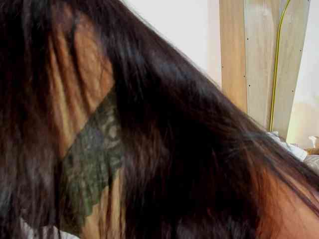 adhitii webcam