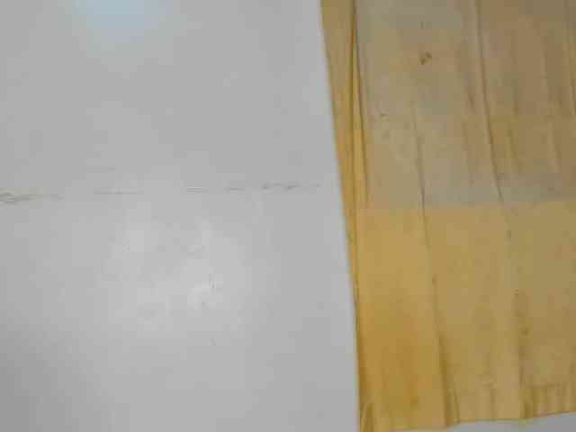 Virginmary webcam