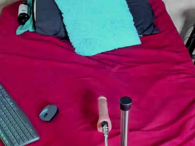 paula-69 webcam