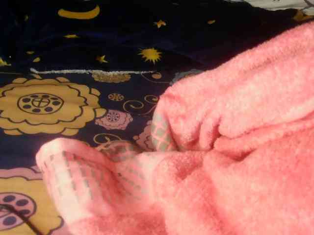 Petit-arana-1 webcam