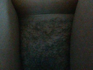 Angel77a