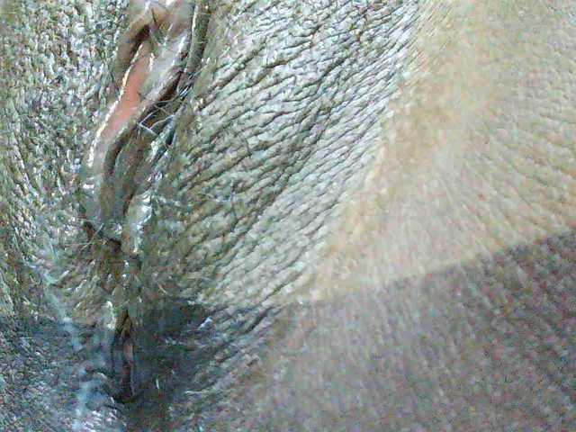 Angel77a live webcam show