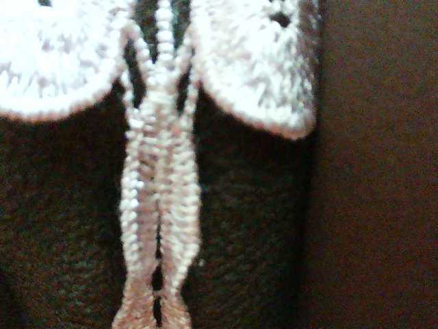 Angel77a