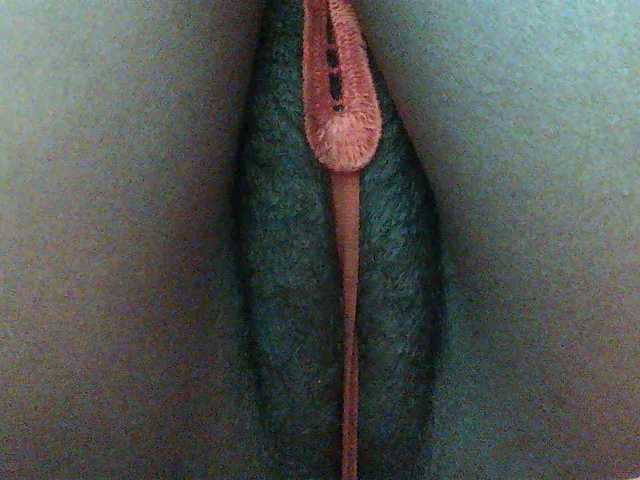 Angel77a live cam on BongaCams