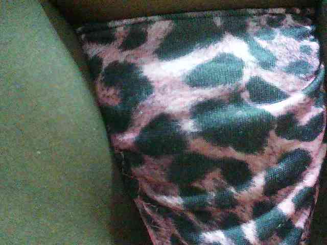 Angel77a webcam