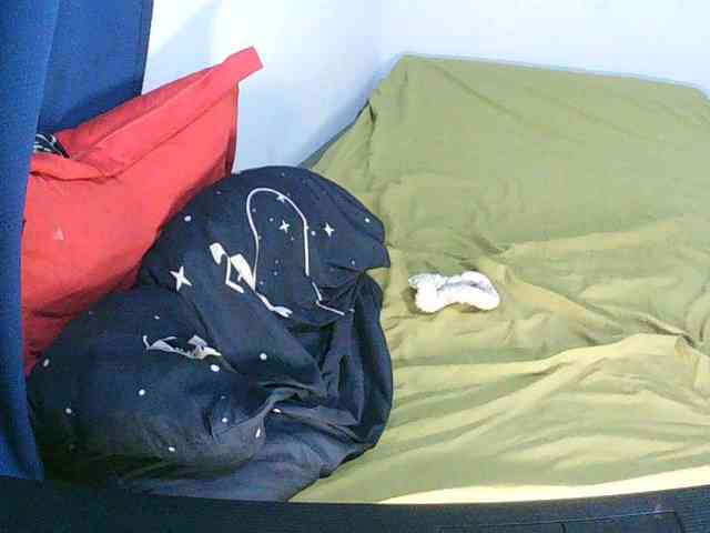 Angel77a webcam