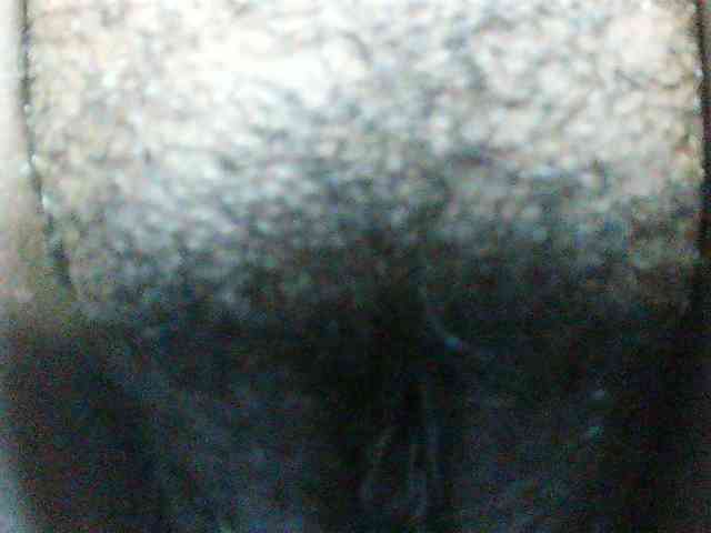 Angel77a