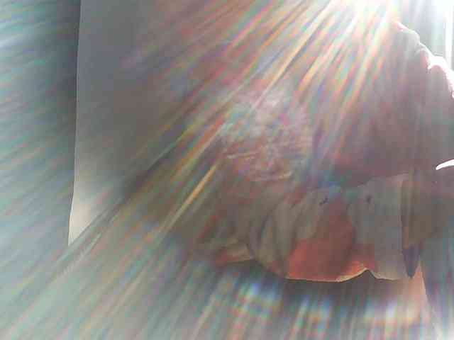 Angel77a webcam