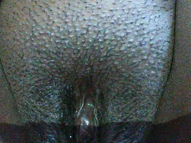 Angel77a Angel77a