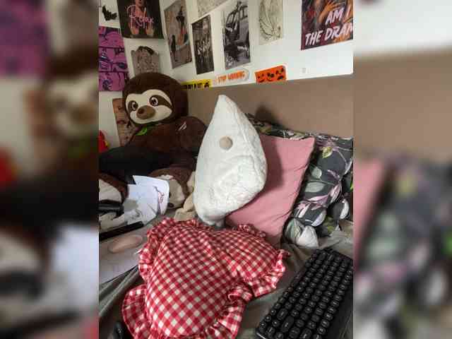 AgnesMoon1 webcam