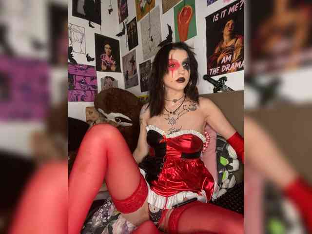 AgnesMoon1 webcam