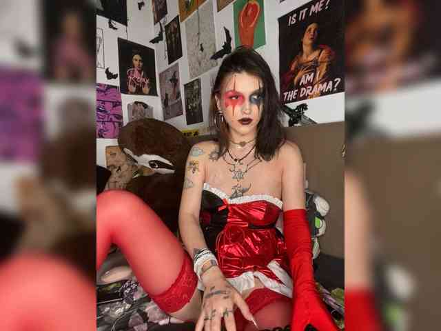 AgnesMoon1 webcam