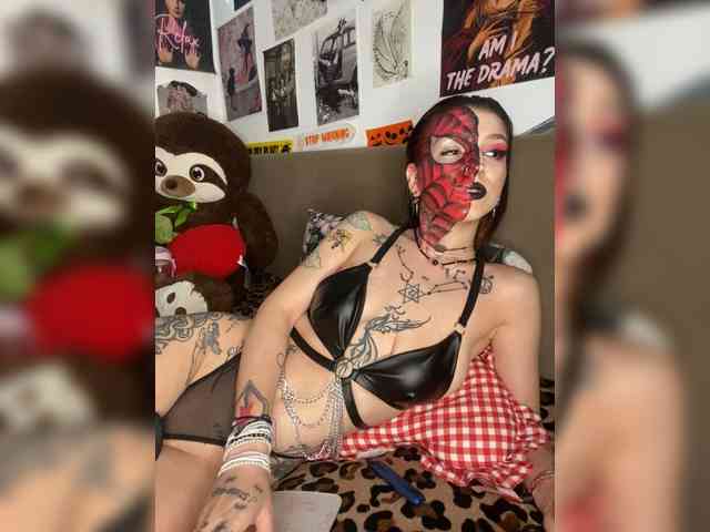AgnesMoon1 webcam