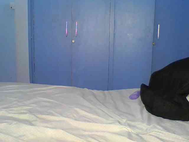 Citygirl77 webcam