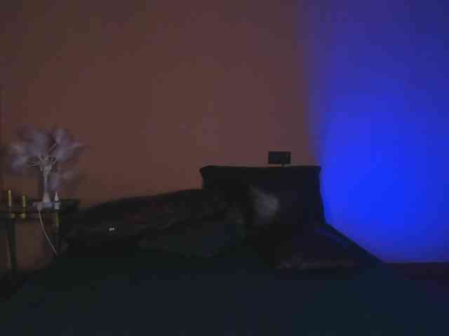 Amber-Tender webcam