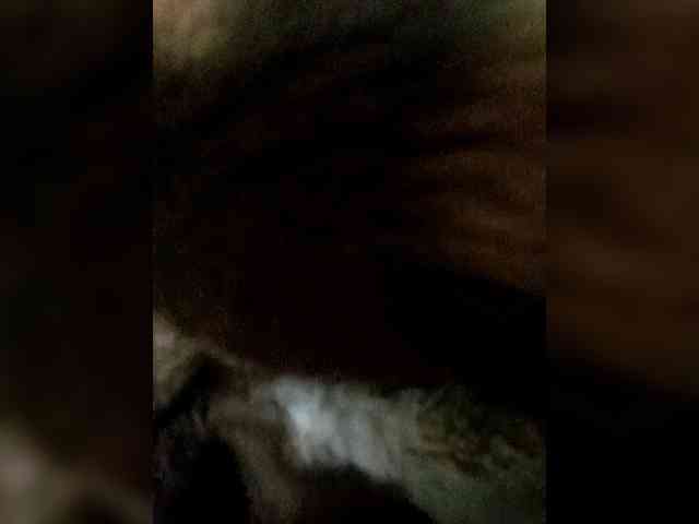 Alinaad webcam