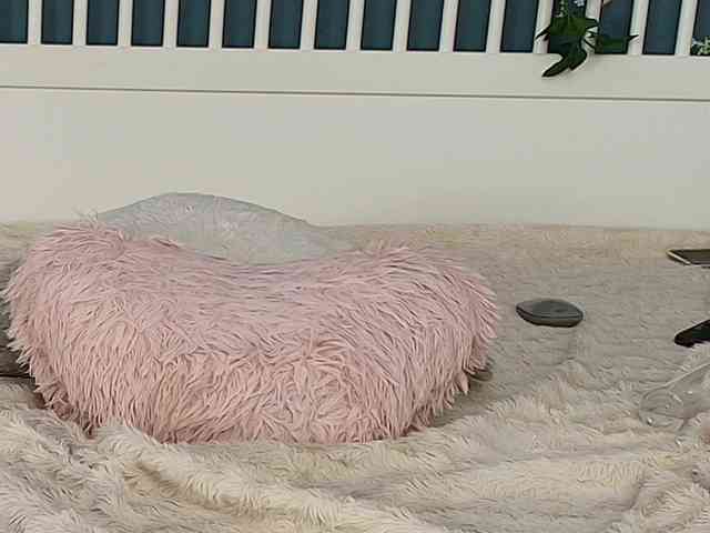 CougarMilf